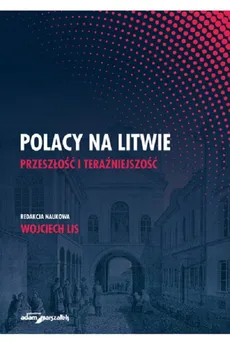 Polacy na Litwie Przeszłość i teraźniejszość - Outlet - Wojciech Lis