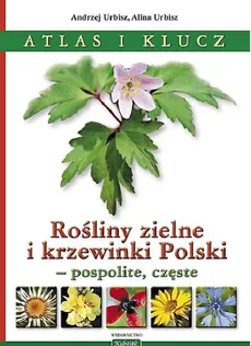 Rośliny zielne i krzewinki Polski - Outlet - Alina Urbisz, Andrzej Urbisz