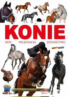 Konie rasy pielęgnacja jeździectwo - Outlet - Joanna Werner