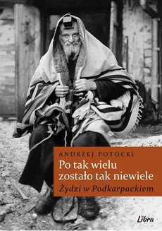 Po tak wielu zostało tak niewiele... Żydzi w Podkarpackiem - Outlet - Andrzej Potocki