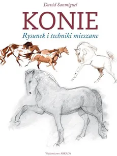 Konie - Outlet - David Sanmiguel