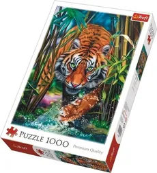 Puzzle 1000 Drapieżny Tygrys