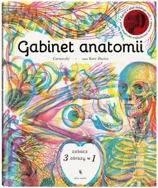 Gabinet anatomii - Outlet - Kate Davies