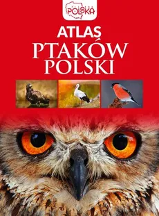 Atlas ptaków Polski - Outlet - Anna Przybyłowicz, Łukasz Przybyłowicz