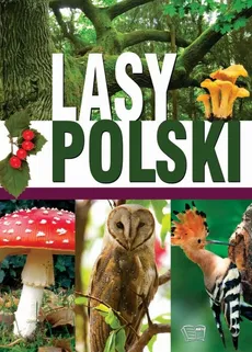 Lasy Polski - Ewa Giermek