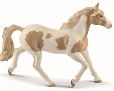Koń Paint Horse Mare