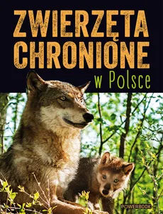 Zwierzęta chronione w Polsce - Outlet - Sylwia Weber