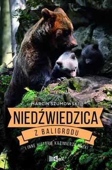 Niedźwiedzica z Baligrodu i inne historie Kazimierza Nóżki - Outlet - Marcin Szumowski