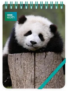 Kołonotes ozdobny Giant Panda Baby