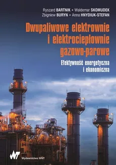 Dwupaliwowe elektrownie i elektrociepłownie gazowo-parowe - Anna Hnydiuk-Stefan, Ryszard Bartnik, Waldemar Skomudek, Zbigniew Buryn