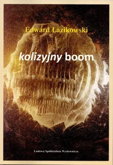 Kolizyjny boom - Outlet - Edward Łazikowski