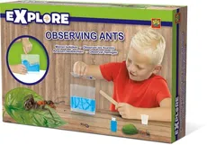 Zestaw kreatywny - obserwowanie mrówek