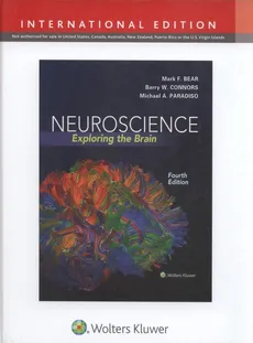 Neuroscience Exploring the Brain, Fourth edition - Outlet - Mark Bear, Barry Connors, Mike Paradiso