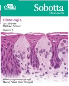 Sobotta Flashcards. Histologia - Outlet - Bräuer L., Scholz M.