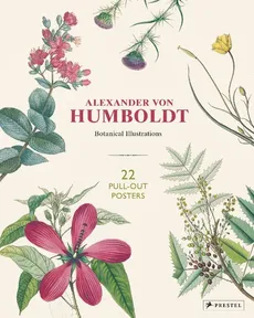 Alexander von Humboldt: Botanical Illustrations - Outlet