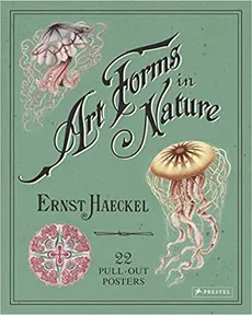 Art Forms in Nature Poster Book - Outlet - Ernst Haeckel
