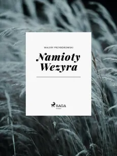Namioty Wezyra - Walery Przyborowski