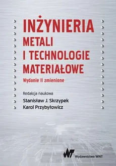 Inżynieria metali i technologie materiałowe - Stanisław J. Skrzypek, Karol Przybyłowicz