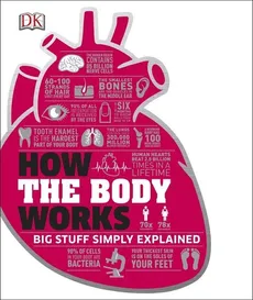 How the Body Works - Outlet