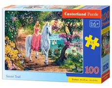 Puzzle Secret Trail 100