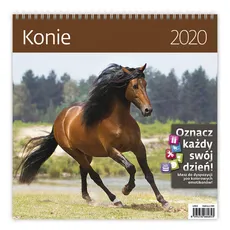 Kalendarz wieloplanszowy Konie 30x30 2020
