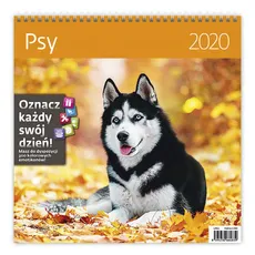Kalendarz wieloplanszowy Psy 30x30 2020