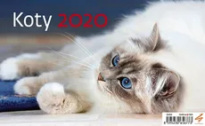 Kalendarz biurkowy Koty 2020