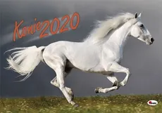 Kalendarz Konie 2020 - Praca zbiorowa