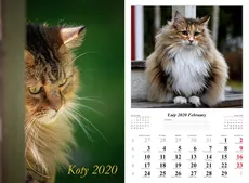 Kalendarz 2020 wieloplanszowy Koty - Outlet