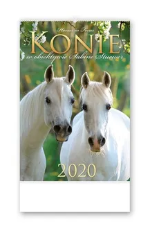 Kalendarz 2020 RW25 Konie w obiektywie