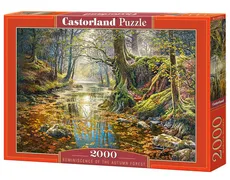 Puzzle Reminiscence of the Autumn Forest 2000