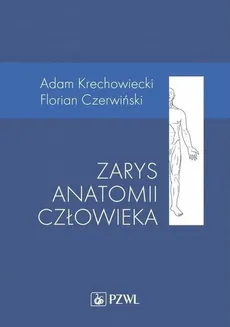Zarys anatomii człowieka - Florian Czerwiński, Adam Krechowiecki