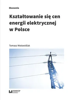 Kształtowanie się cen energii elektrycznej w Polsce - Tomasz Motowidlak