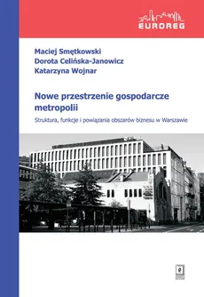 Nowe przestrzenie gospodarcze metropolii - Outlet - Dorota Celińska-Janowicz, Maciej Smętkowski, Katarzyna Wojnar
