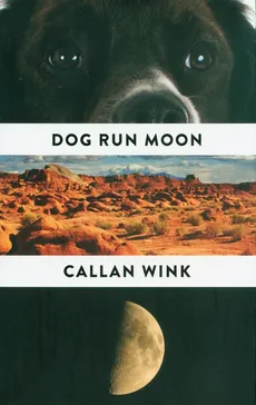 Dog Run Moon - Callan Wink