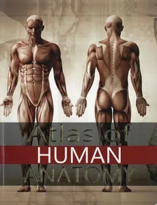 Atlas of Human Anatomy - Outlet