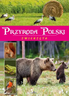 Przyroda Polski Zwierzęta - Żaneta Zając