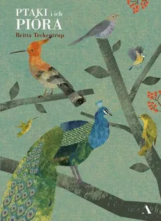 Ptaki i ich pióra - Outlet - Britta Teckentrup