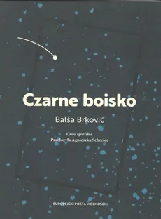 Czarne boisko - Balsa Brkovic