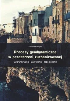 Procesy geodynamiczne w przestrzeni zurbanizowanej - Outlet - Elżbieta Kobojek