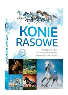 Konie Rasowe - Outlet