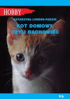 Kot domowy czyli dachowiec - Outlet - Katarzyna Lorens-Padzik
