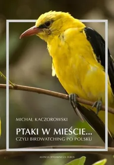 Ptaki w mieście czyli birdwatching po polsku - Outlet - Michał Kaczorowski