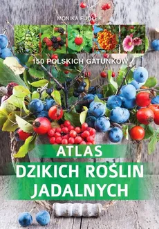 Atlas dzikich roślin jadalnych - Outlet - Monika Fijołek