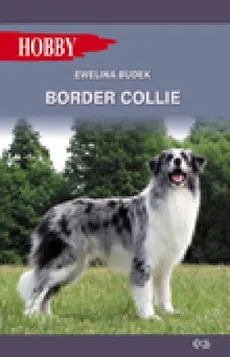 Border Collie - Ewelina Budek
