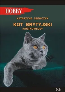 Kot brytyjski krótkowłosy - Katarzyna Szewczyk