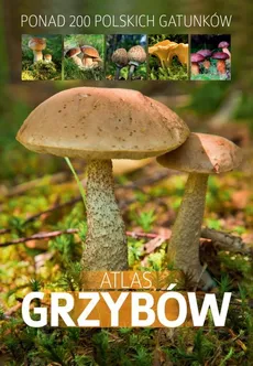 Atlas grzybów - Outlet - Patrycja Zarawska