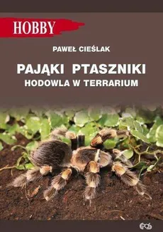 Pająki ptaszniki w terrarium - Gorazdowski Marcin Jan