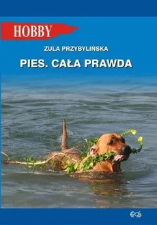 Pies Cała prawda - Outlet - Zula Przybylińska