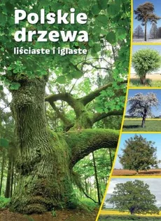 Polskie drzewa liściaste i iglaste